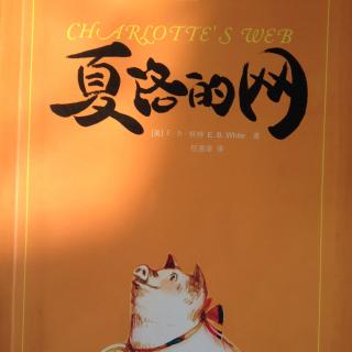 夏洛的网