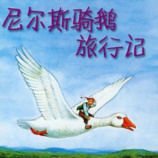 尼尔斯骑鹅旅行记