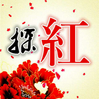 探红