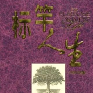 标杆人生