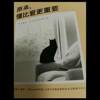 原来,懂比爱更重要