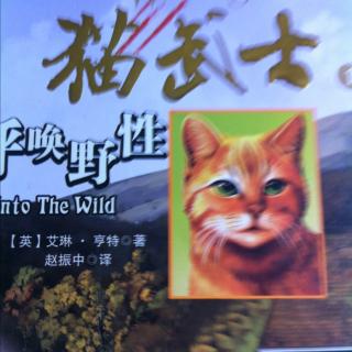 猫武士1(忠诚)