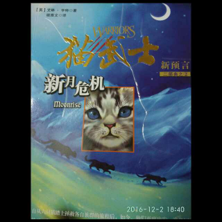 猫武士【8】新月危机