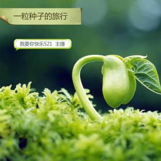 一粒种子的旅行