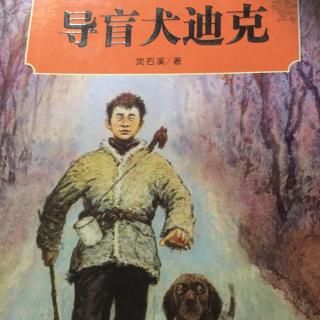 导盲犬迪克
