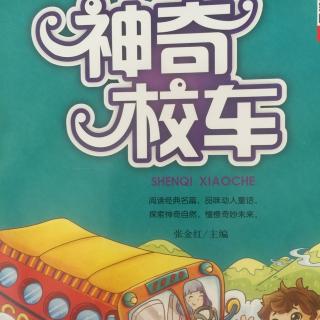 【神奇校车系列】在线收听_mp3下载_荔枝FM