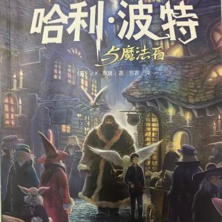 哈利.波特与魔法石