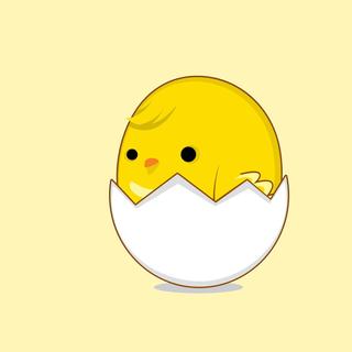 不肯出壳的小鸡