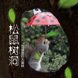 「松鼠树洞」第二话:你妹电台