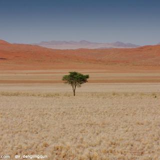 【【读心】楼兰新娘 席慕容】在线收听_来谝个