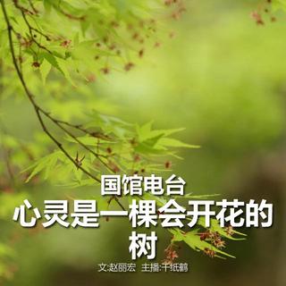 一颗开花的树简谱_一颗会开花的树谢春花(2)