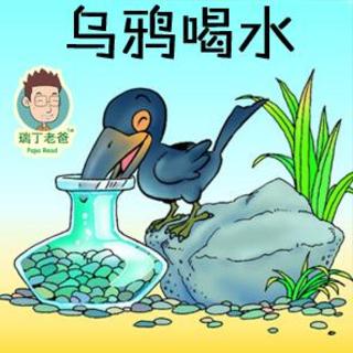 小听众点播119——乌鸦喝水