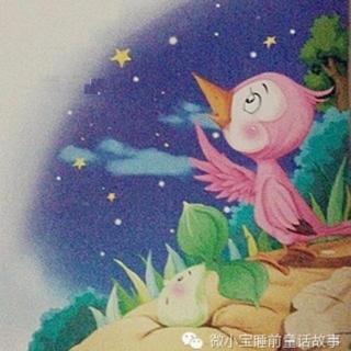 我来陪你数星星主播姗姗姐姐