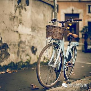 【岁月啊 ,你太仓促 《青春》席慕容 主播:小海