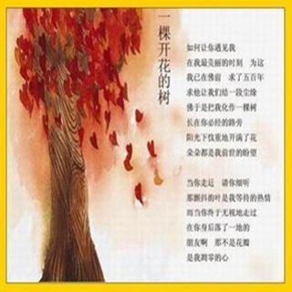 朗诵【一颗开花的树】●席慕容