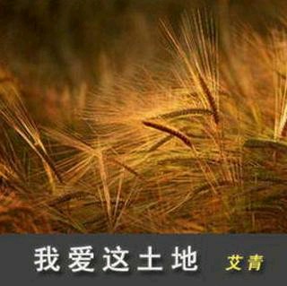 155我爱这土地(配乐诗歌 作者:艾青 朗诵:千纸鹤)