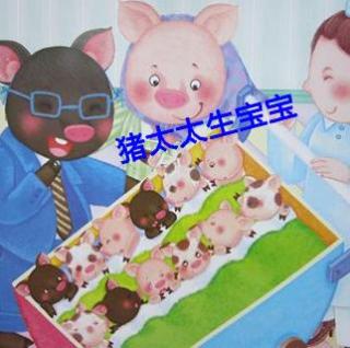 【15、猪太太生宝宝】在线收听_鸡蛋radio-Q妈