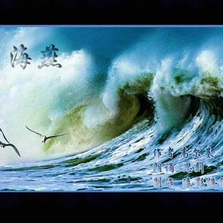 诗歌v诗歌-海燕好藏獒图片