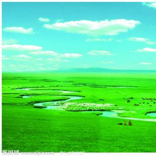 【City Tempo】S5E5 内蒙古 Inner Mongolia】