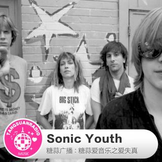 糖蒜爱失真:sonic youth