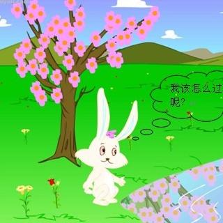 00:00 00:00  11 一个阳光明媚的春天,小兔要去小象家玩,小兔过河.