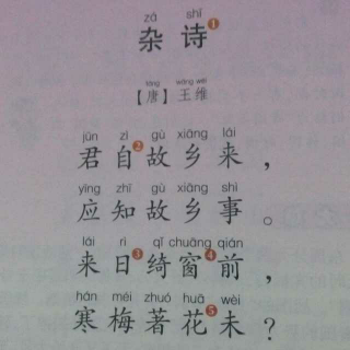 杂诗的简谱_己亥杂诗