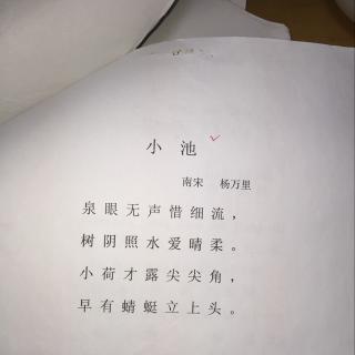 古诗:小池