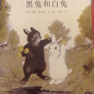 黑兔和白兔