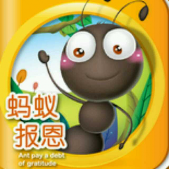 ""水爸讲寓言""第7集《蚂蚁报恩》