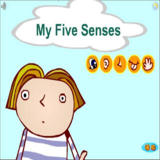 【歌曲27/中级】the five senses song(小何老师)