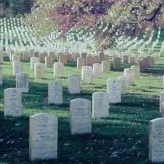 葬礼蓝调 Funeral Blues