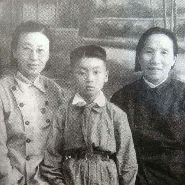 朱旦华访谈录(下)