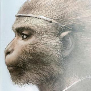 佛祖悟空纹身图案内容图片分享