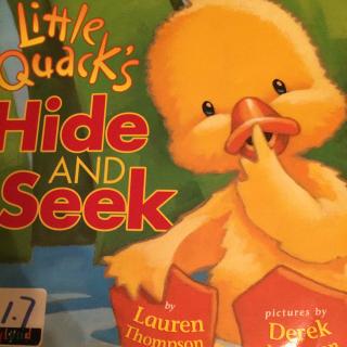 little quack hide and seek