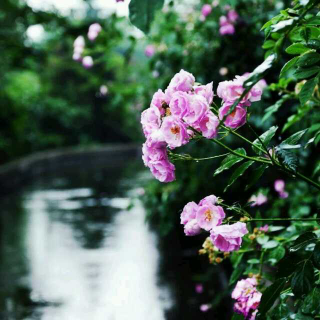 【别睡的太晚,别爱的太满】在线收听_【晚 安