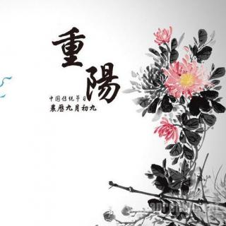 重阳节27