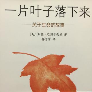 绘本23《一片叶子落下来》The fall of Freddie the leaf