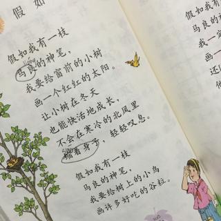 假如我有一支马良神笔_假如我有一只马良的神笔_假如我有一支马良的神笔