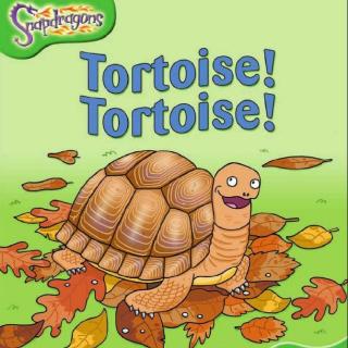 【【听故事学英语】《Tortoise! Tortoise! 乌龟