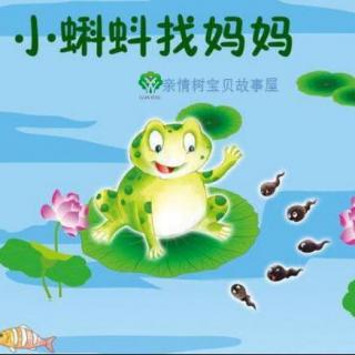 中七班汪筱伦妈妈讲故事:小蝌蚪找妈妈