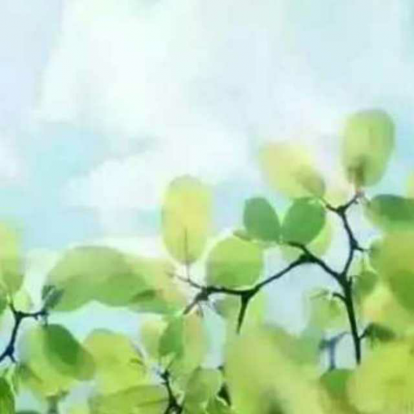 《春天的声音》张秀亚