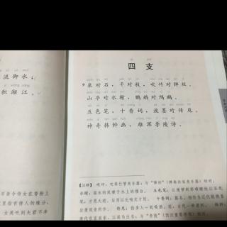 笠翁对韵 四支(9,10)