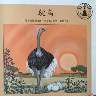 【鸵鸟(小小自然图书馆】在线收听_美美滴讲故事_荔枝