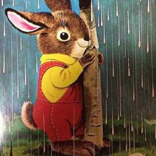 i am a bunny