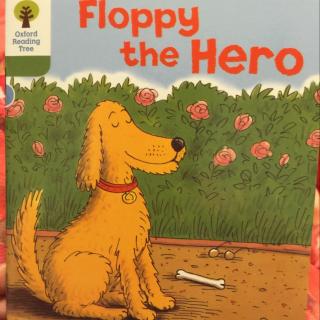 2-35 floppy the hero