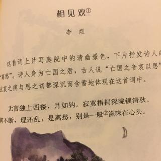 独上西楼提琴谱_相见欢·无言独上西楼