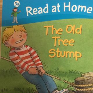 read at home: the old tree stump