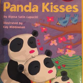 panda kisses