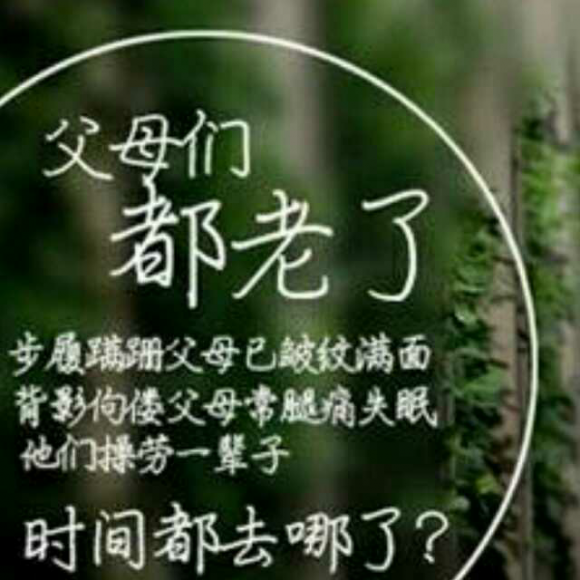 你陪我长大我陪你变老