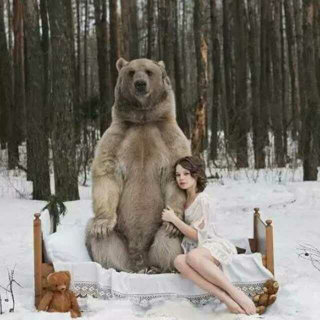 爱 作者:罗伊·克里夫特 诵读:泓雅